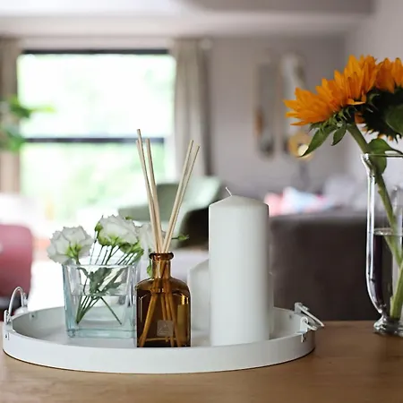 Daire Moft Loft. Lovely, Comfy Apartment. Kaloşvar